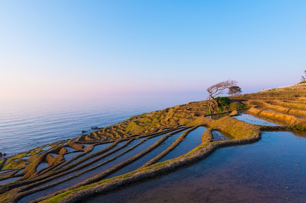 Filmed in Shiroyone Senmaida,The One Thousand Rice Fields in Noto,Ishikawa,Japan.