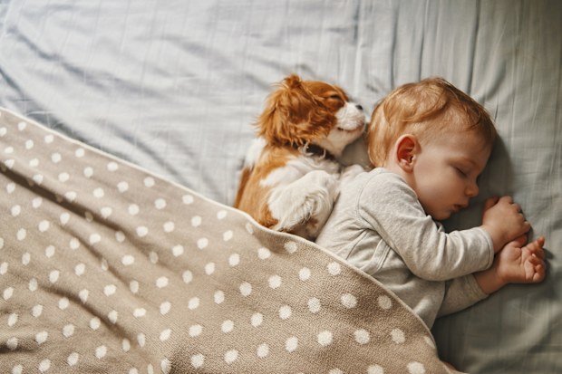 napping time