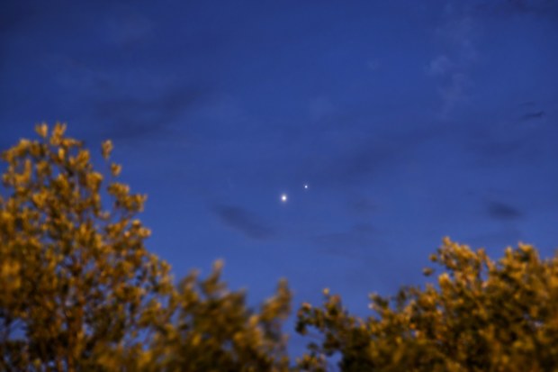 Venus-Jupiter conjunction as seen over an olive tree in the evening of July 1st. Izmir,Turkey.