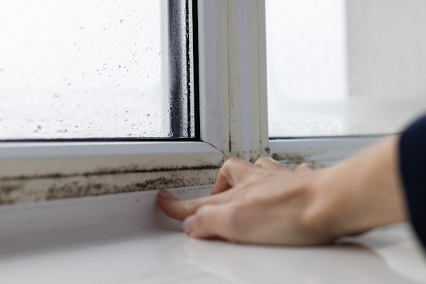Woman touching the wet window with black mouldy fungus.