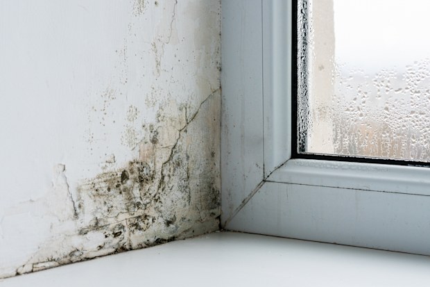 Mould in the corner of the plastic windows.