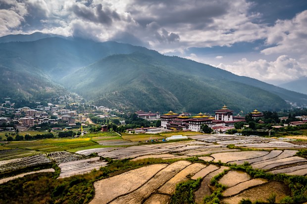 Paddy filed above the palace Thimphu Bhutan