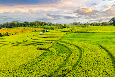 6. Canggu, Bali