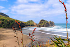 <p>F﻿orget all about tropical beaches fringed by palm trees and islands with crystal-clear water. </p><p>This year's number one beach is Piha, found just west of Auckland, New Zealand.﻿</p>