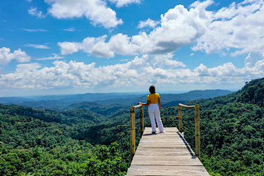 9. Amazon Rainforest Tours, South America 