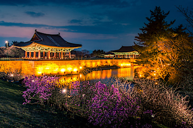 6. Gyeongju