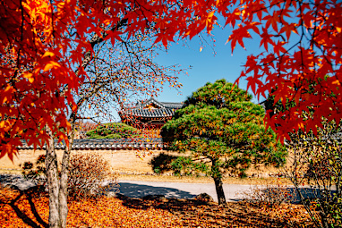 7. Andong