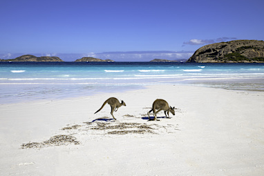 8. Lucky Bay, WA