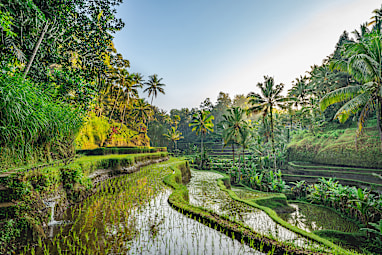 8. Ubud, Bali