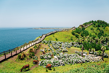 Jeju-Do, Korea