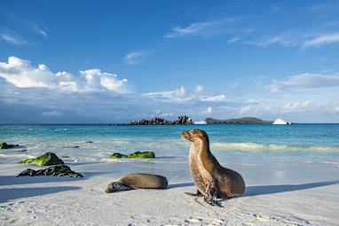 6. Galapagos Islands Tours