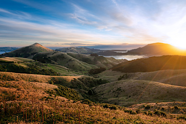 5. Dunedin, New Zealand