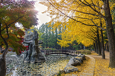 2. Nami Island