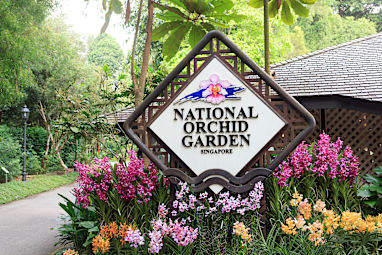 6. Singapore Botanic Gardens (Orchid Garden), Singapore