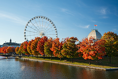 7. Montreal