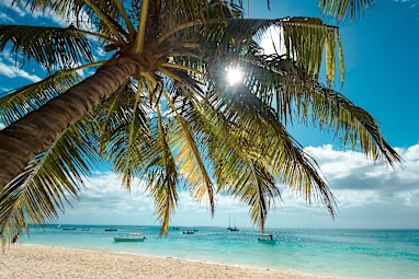 5. Zanzibar