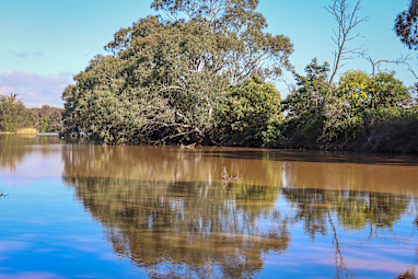 3. Stanthorpe, QLD