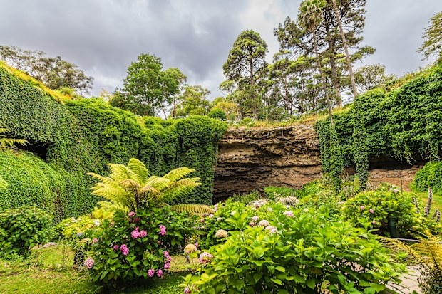 Iconic Umpherston Sinkhole Cave Gardens viewed from the bottom grounds, Mt Gambier, Limestone Coast, South Australia