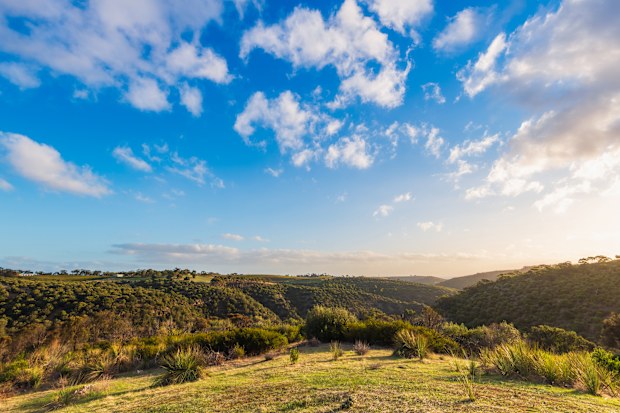 Onkaparinga River National Park at sunset viewed from walking trail, Adelaide 