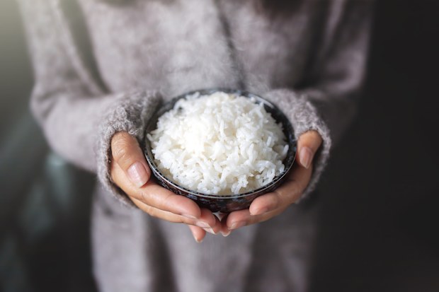 Rice