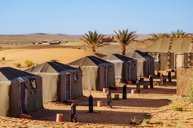 Row of traditional desert tents in a Moroccan camp with palm trees and sandy landscape under a clear blue sky. Evokes travel, desert life, quiet and warm sunlit atmosphere.