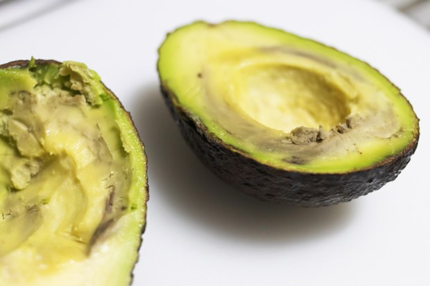 Brown avocado