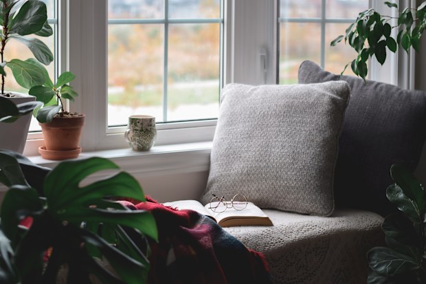 Cozy reading nook surrounded by houseplants with warm throw blanket by a window with no people
