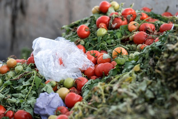 Food in landfill