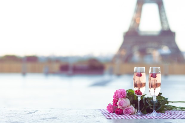 Beautiful and romantic proposal on Saint Valentine's day in Paris - city of love. Bouquet of pink roses, two glasses of wine, raspberry. Eiffel tower on background. Close up copy space. Tonned