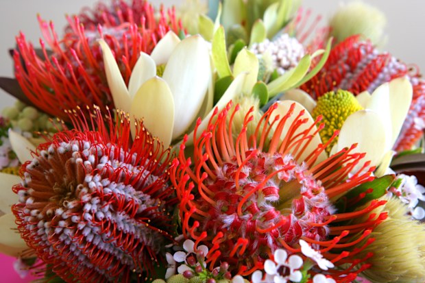 Native flower bouquet iStock