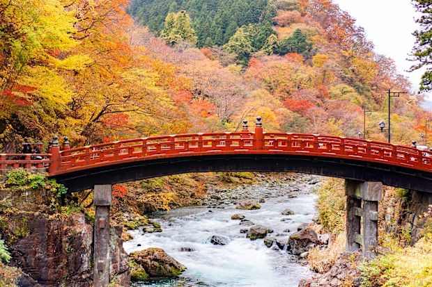 shinkyo bridge with yellow leaf