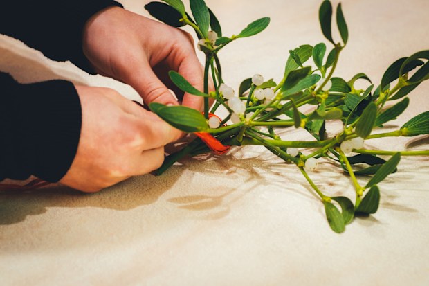 Woman binds mistletoes with red ribbon. Preparing Christmas decoration. Hands.