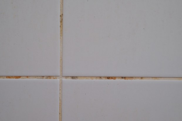 closeup tile grout dirty in the bathroom
