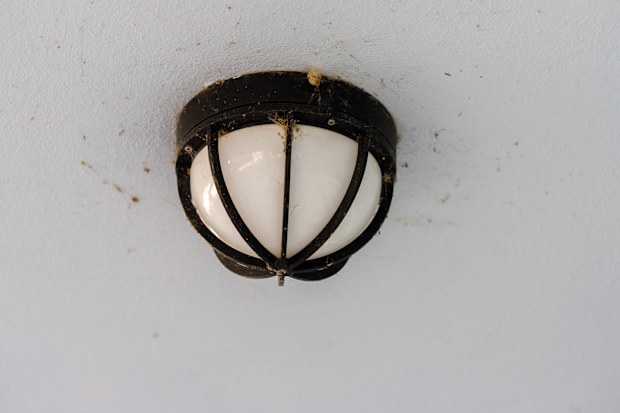 A ceiling-mounted light fixture, featuring a white glass globe with a black metal cage, is partially covered in cobwebs and dust against a pale ceiling.