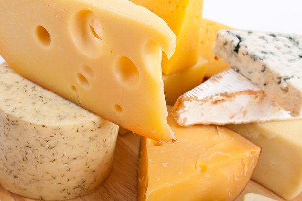 close up of different types of cheese