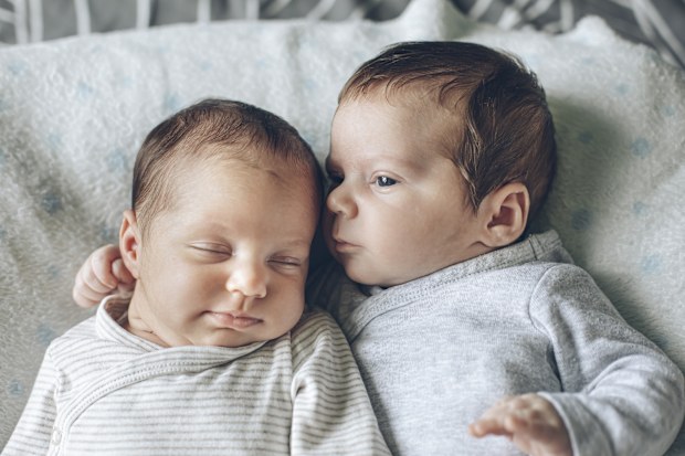 Twin Baby Brother and Sister, babies