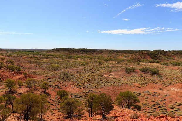 Arid desert environment and spinifex at Lark Quarry near Opalton, Queensland, Australia