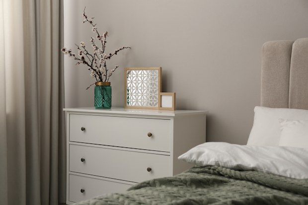 Flowering tree twigs and decor on white chest of drawers in bedroom