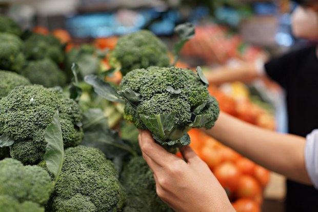 broccoli sales grocery stores