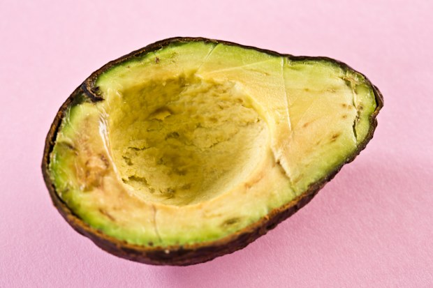 Brown avocado