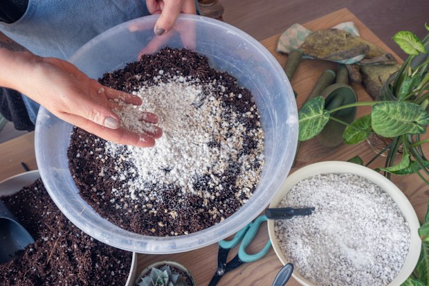 Indoor potted plant care in spring. A caucasian woman mixing plant soil with perlite in the container