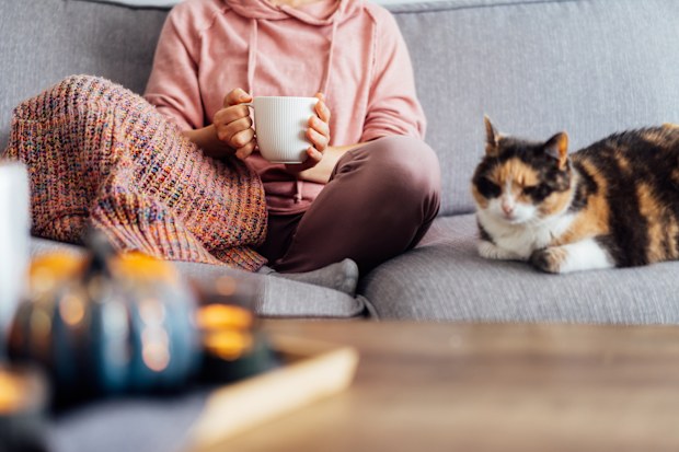 Close up woman in plaid holding cup of tea or coffee, watching movie, TV with multicolored cat on the sofa at home, decorated for fall holidays. Cozy and comfortable autumn concept. Selective focus.