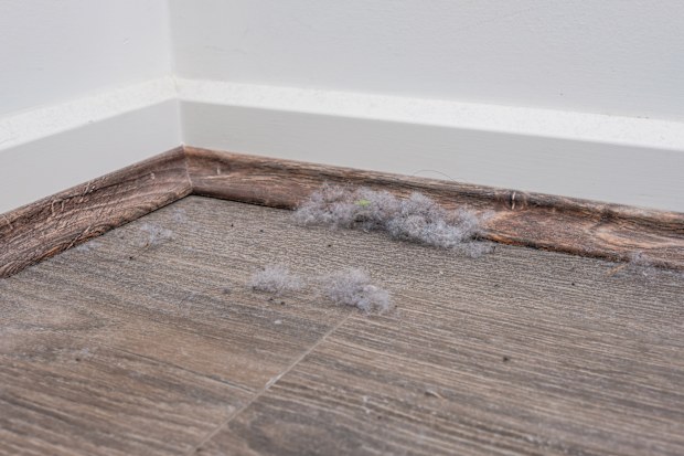 Pile of dust on the floor in the corner of the room, skirting boards
