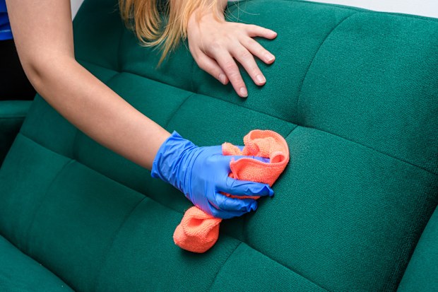 Clean the upholstery of the sofa in the living room closeup