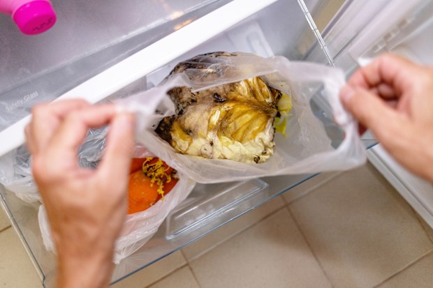 rotten cabbage 