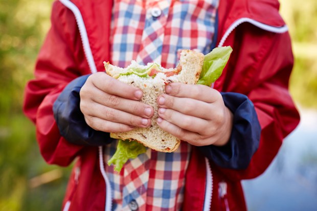 Close-up of child eating sandwich. Boy holding bitten snack. Sandwich consisting of bread, vegetables and cheese. Boy having picnic. Its illustrating relationship between grandchild and grandparent. It is perfect for using it in commercial and advertising photography, reports, books, presentation