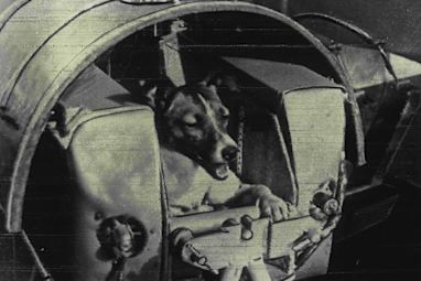 Laika, 1957