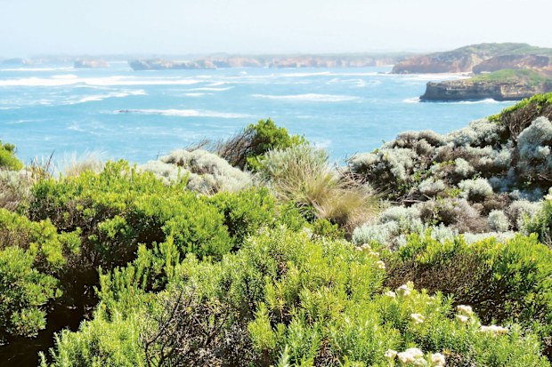Bay of Martyrs_credit Lee Atkinson