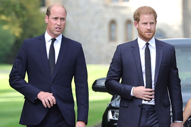 Prince Harry and Prince William