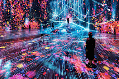 6. teamLab Planets TOKYO